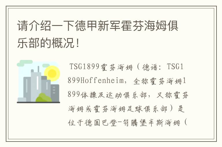 请介绍一下德甲新军霍芬海姆俱乐部的概况！