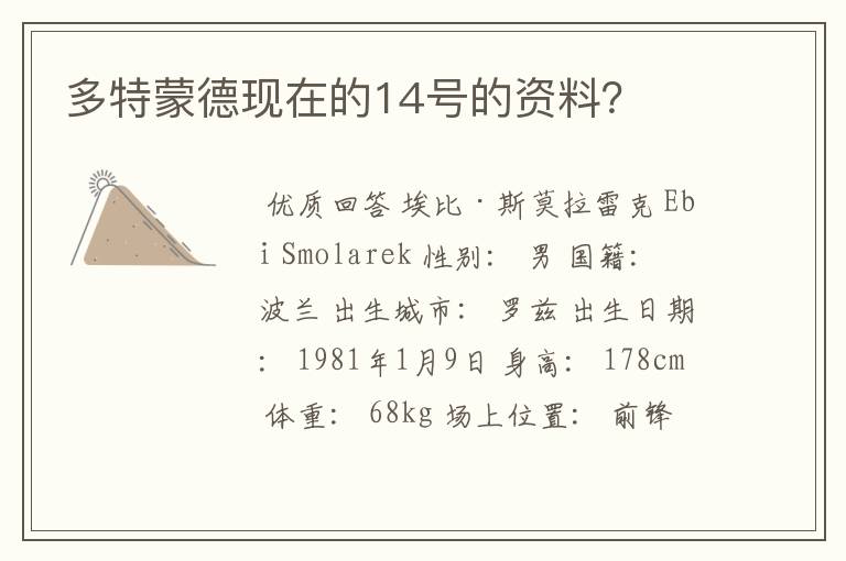 多特蒙德现在的14号的资料？