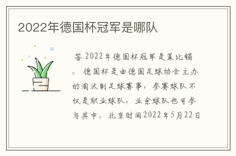 2022年德国杯冠军是哪队