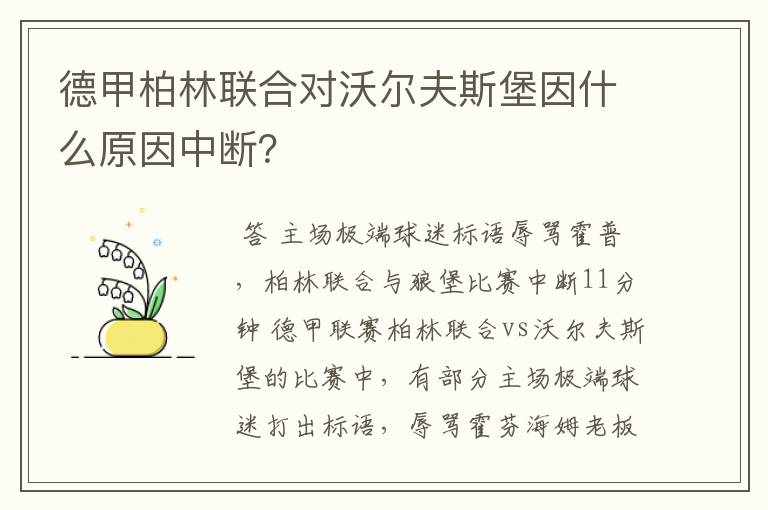 德甲柏林联合对沃尔夫斯堡因什么原因中断？