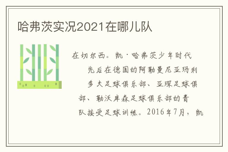 哈弗茨实况2021在哪儿队