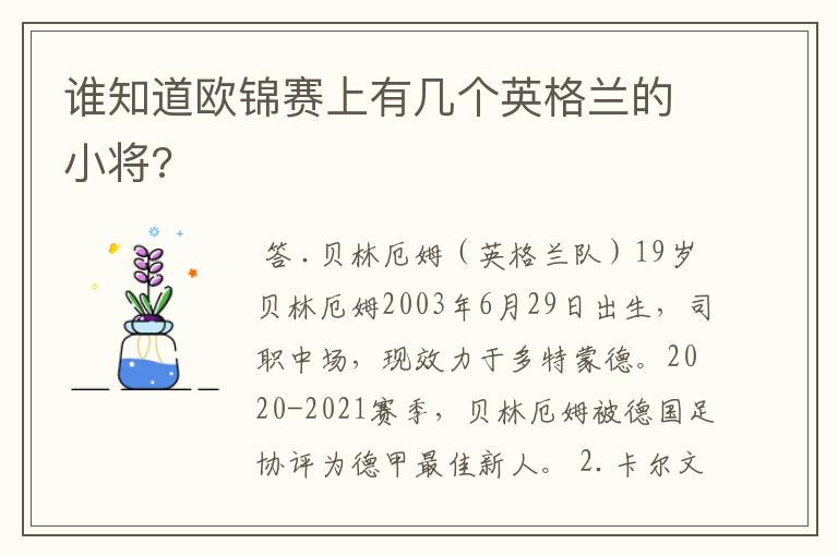 谁知道欧锦赛上有几个英格兰的小将?