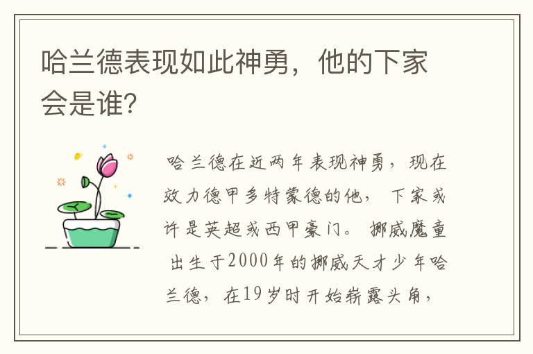 哈兰德表现如此神勇，他的下家会是谁？