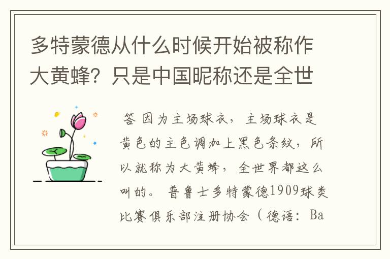 多特蒙德从什么时候开始被称作大黄蜂？只是中国昵称还是全世界范围都这么称呼