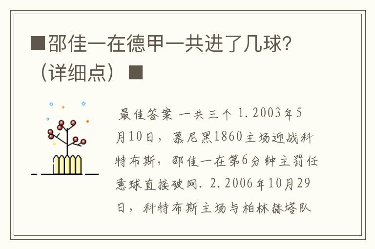 ■邵佳一在德甲一共进了几球？（详细点）■