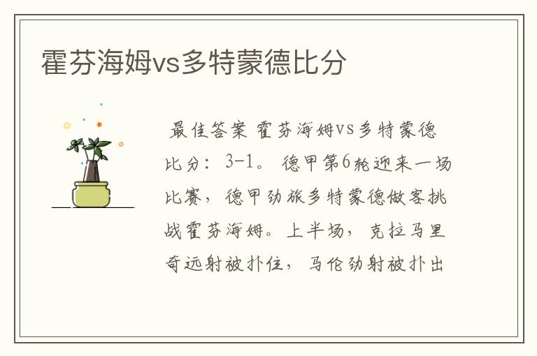 霍芬海姆vs多特蒙德比分