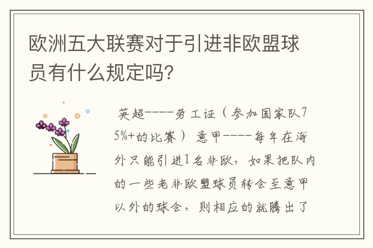 欧洲五大联赛对于引进非欧盟球员有什么规定吗？