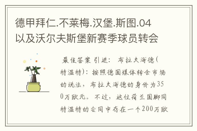 德甲拜仁.不莱梅.汉堡.斯图.04以及沃尔夫斯堡新赛季球员转会一览