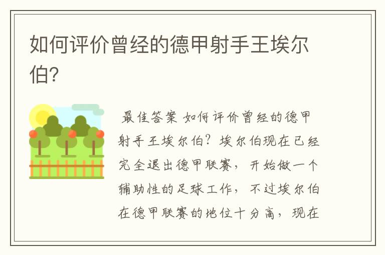 如何评价曾经的德甲射手王埃尔伯？