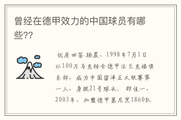 曾经在德甲效力的中国球员有哪些??