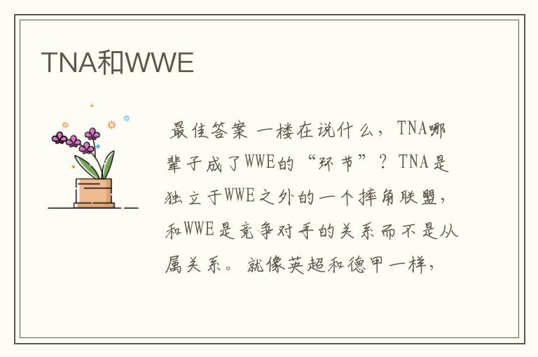 TNA和WWE