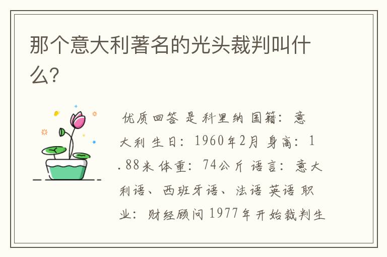 那个意大利著名的光头裁判叫什么？