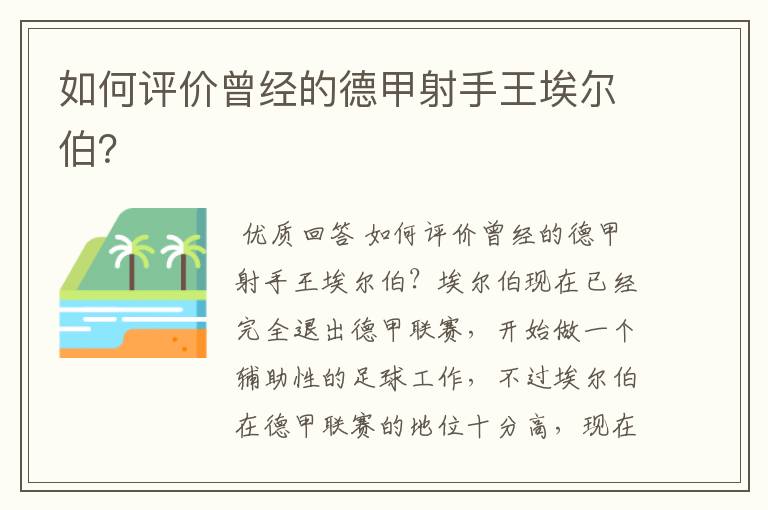 如何评价曾经的德甲射手王埃尔伯？