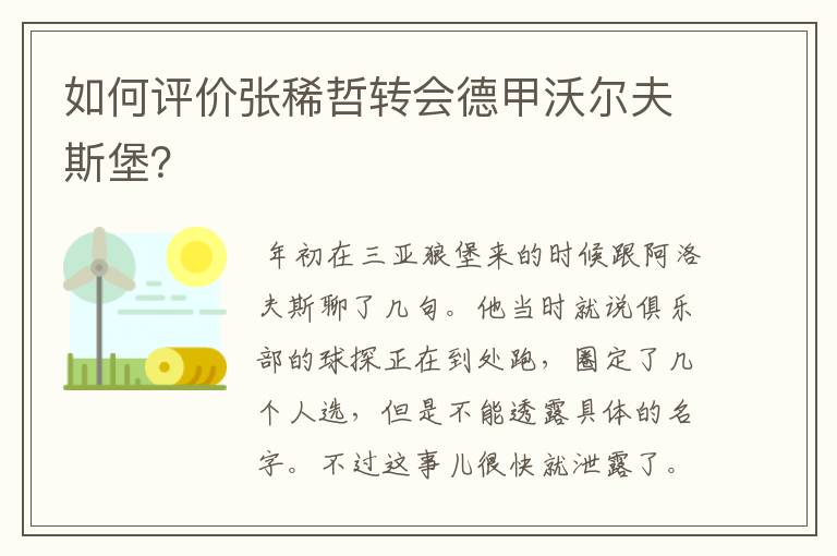 如何评价张稀哲转会德甲沃尔夫斯堡？