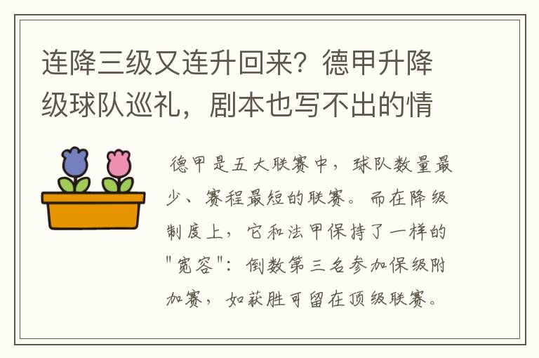 连降三级又连升回来？德甲升降级球队巡礼，剧本也写不出的情节