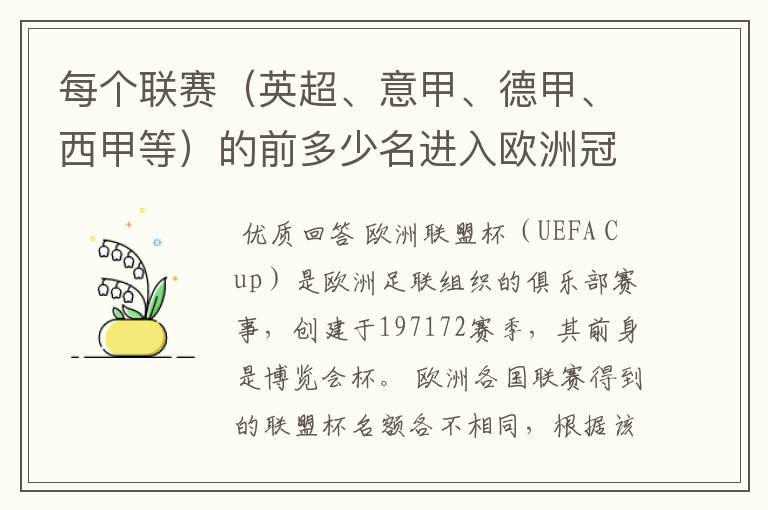 每个联赛（英超、意甲、德甲、西甲等）的前多少名进入欧洲冠军杯？多少名进入欧洲联盟杯？