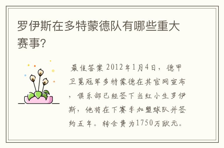 罗伊斯在多特蒙德队有哪些重大赛事？