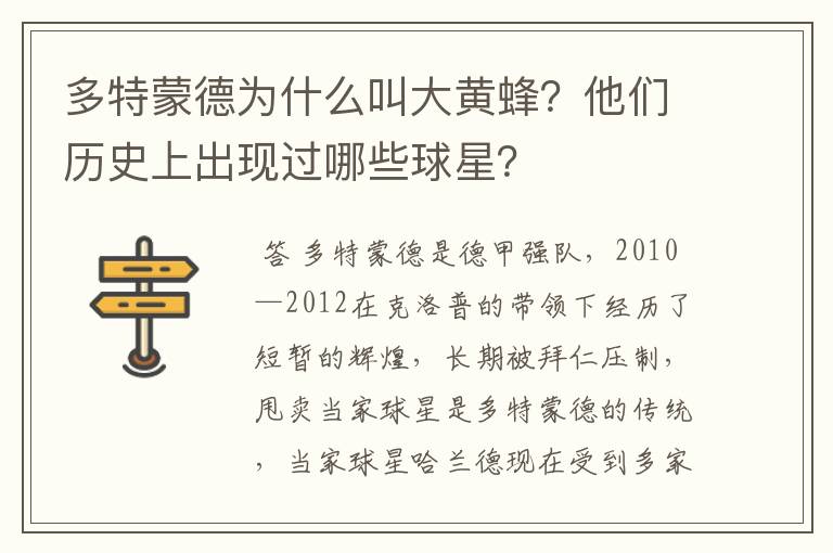 多特蒙德为什么叫大黄蜂？他们历史上出现过哪些球星？