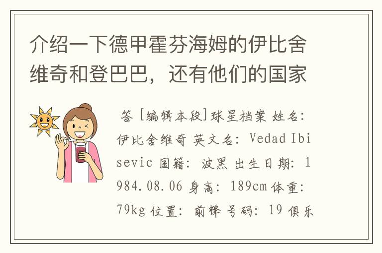 介绍一下德甲霍芬海姆的伊比舍维奇和登巴巴，还有他们的国家队履历