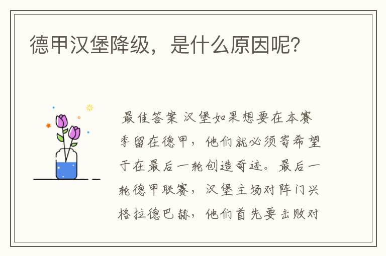 德甲汉堡降级，是什么原因呢？