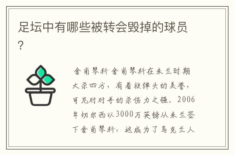 足坛中有哪些被转会毁掉的球员？