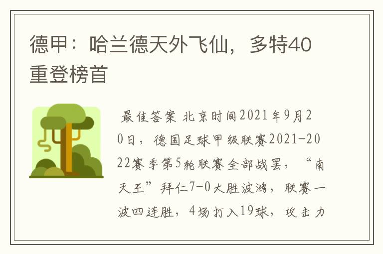 德甲：哈兰德天外飞仙，多特40重登榜首