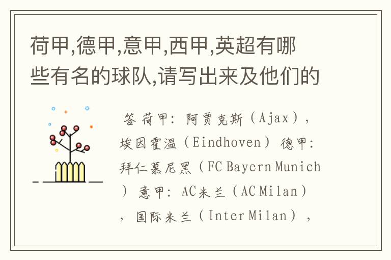 荷甲,德甲,意甲,西甲,英超有哪些有名的球队,请写出来及他们的英文名??