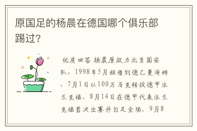 原国足的杨晨在德国哪个俱乐部踢过?