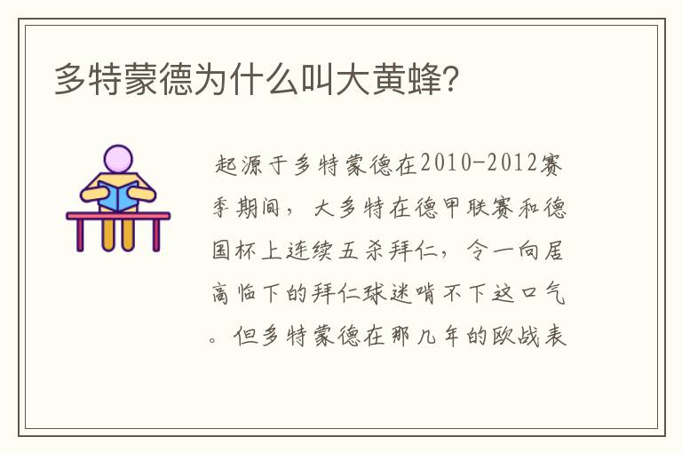 多特蒙德为什么叫大黄蜂？