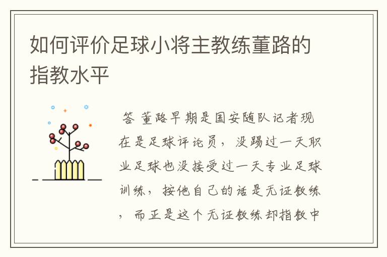 如何评价足球小将主教练董路的指教水平