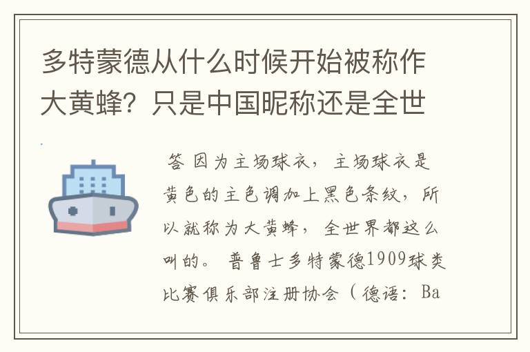 多特蒙德从什么时候开始被称作大黄蜂？只是中国昵称还是全世界范围都这么称呼