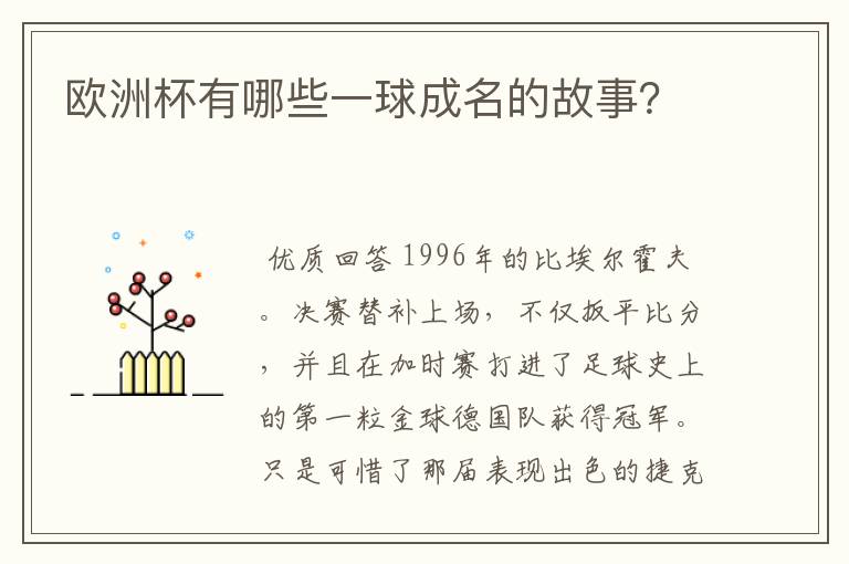 欧洲杯有哪些一球成名的故事？