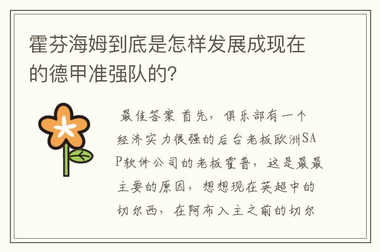 霍芬海姆到底是怎样发展成现在的德甲准强队的？