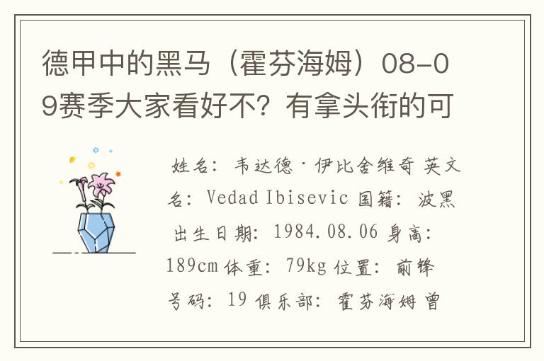 德甲中的黑马（霍芬海姆）08-09赛季大家看好不？有拿头衔的可能吗？