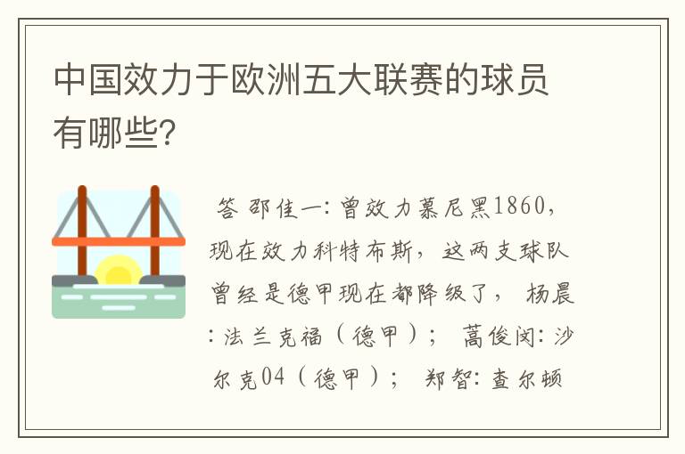 中国效力于欧洲五大联赛的球员有哪些？