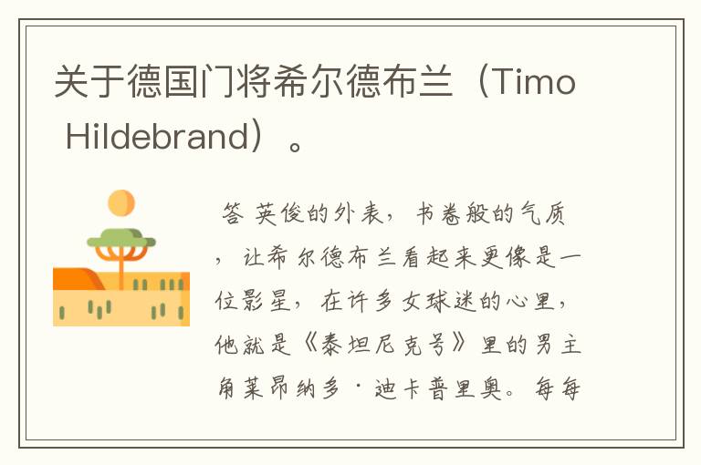 关于德国门将希尔德布兰（Timo Hildebrand）。