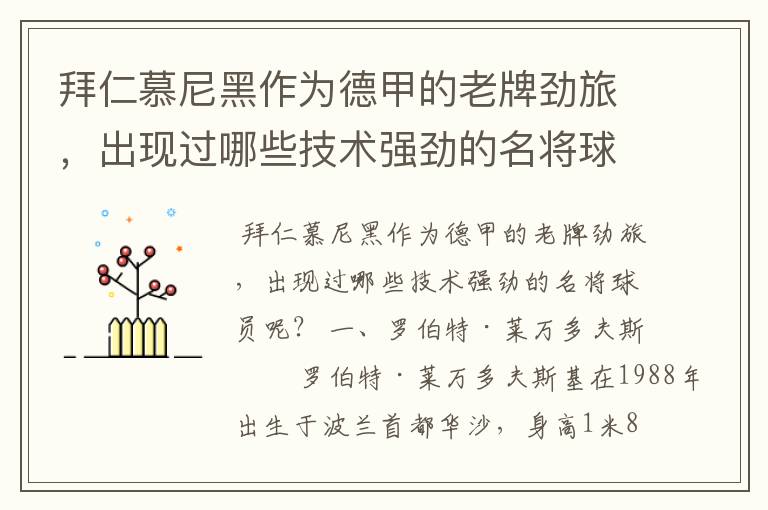 拜仁慕尼黑作为德甲的老牌劲旅，出现过哪些技术强劲的名将球员呢？