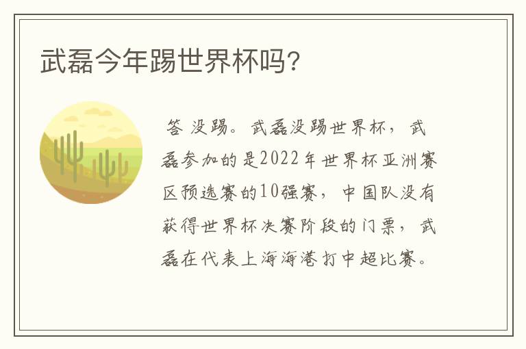 武磊今年踢世界杯吗?