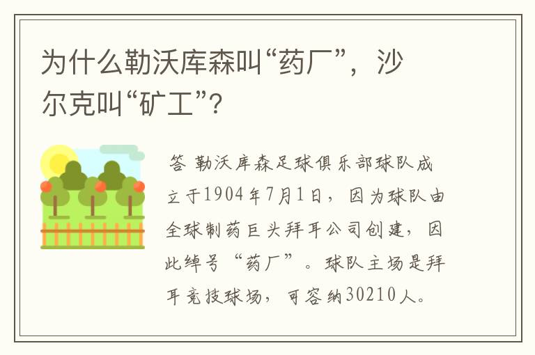 为什么勒沃库森叫“药厂”，沙尔克叫“矿工”？