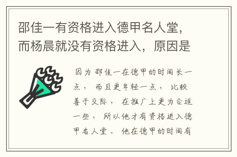 邵佳一有资格进入德甲名人堂，而杨晨就没有资格进入，原因是什么？