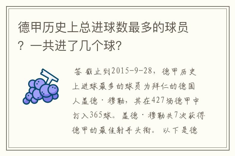 德甲历史上总进球数最多的球员？一共进了几个球？