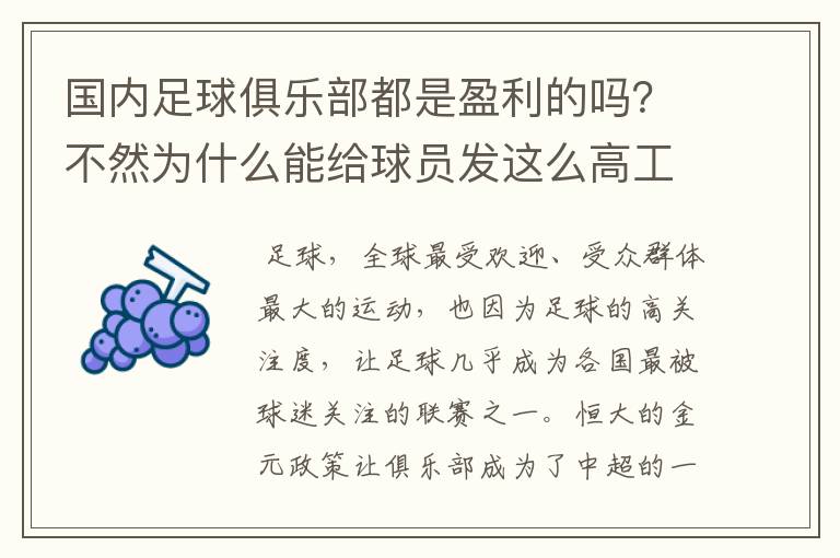 国内足球俱乐部都是盈利的吗？不然为什么能给球员发这么高工资？