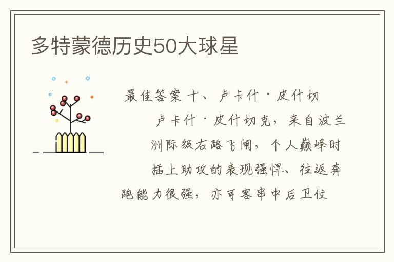 多特蒙德历史50大球星