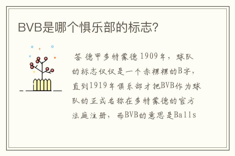 BVB是哪个惧乐部的标志？