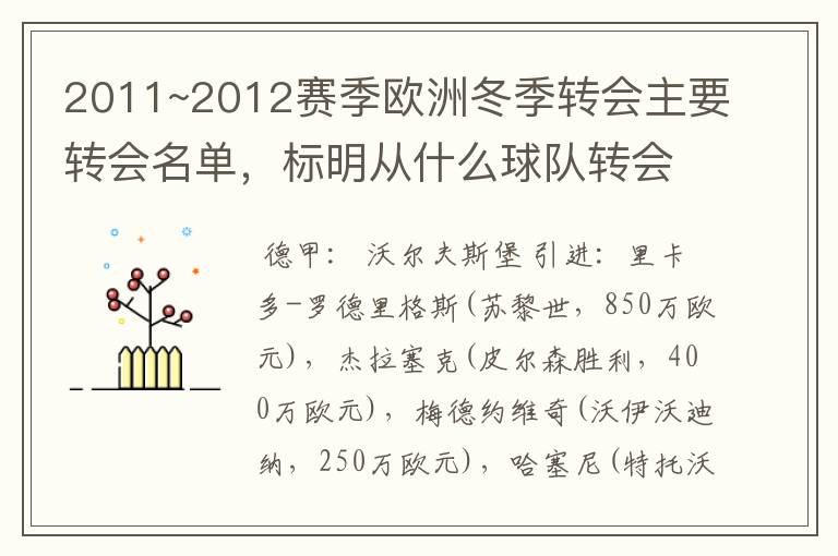 2011~2012赛季欧洲冬季转会主要转会名单，标明从什么球队转会到什么球队，多谢~