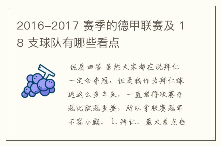 2016-2017 赛季的德甲联赛及 18 支球队有哪些看点