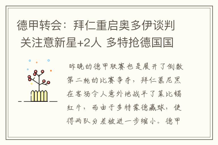 德甲转会：拜仁重启奥多伊谈判 关注意新星+2人 多特抢德国国脚