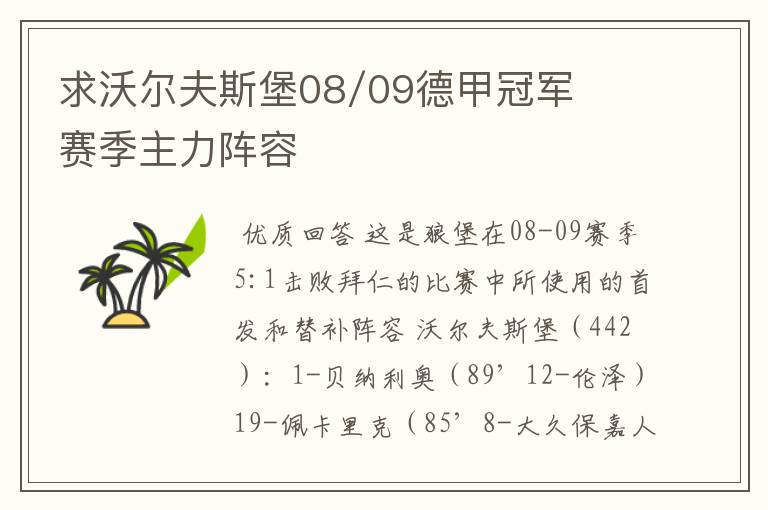 求沃尔夫斯堡08/09德甲冠军赛季主力阵容