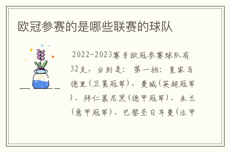 欧冠参赛的是哪些联赛的球队