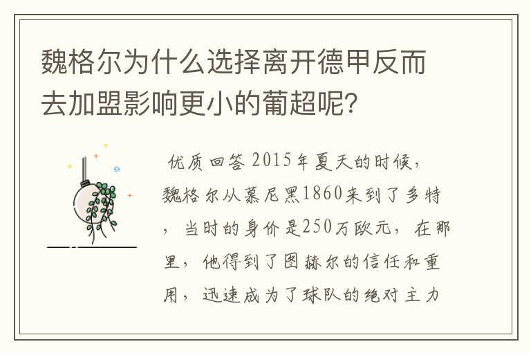 魏格尔为什么选择离开德甲反而去加盟影响更小的葡超呢？